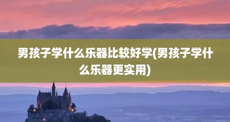 男孩子学什么乐器比较好学(男孩子学什么乐器更实用)
