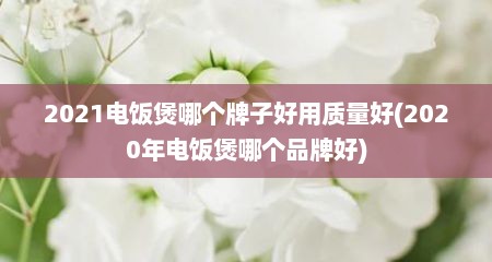 2021电饭煲哪个牌子好用质量好(2020年电饭煲哪个品牌好)