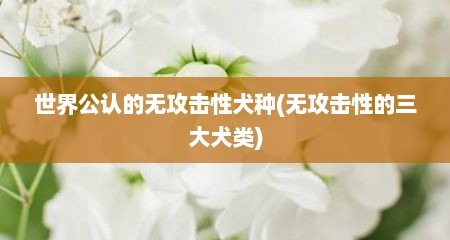 世界公认的无攻击性犬种(无攻击性的三大犬类)