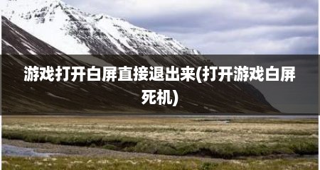 游戏打开白屏直接退出来(打开游戏白屏死机)