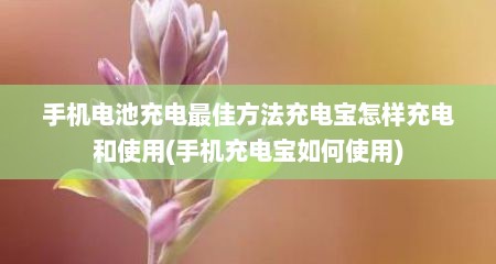 手机电池充电最佳方法充电宝怎样充电和使用(手机充电宝如何使用)