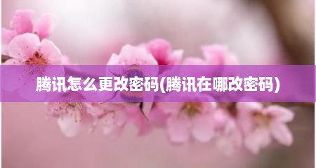腾讯怎么更改密码(腾讯在哪改密码)