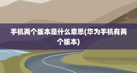 手机两个版本是什么意思(华为手机有两个版本)