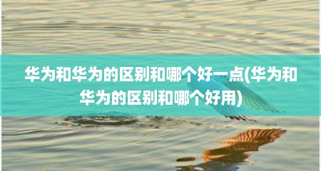 华为和华为的区别和哪个好一点(华为和华为的区别和哪个好用)