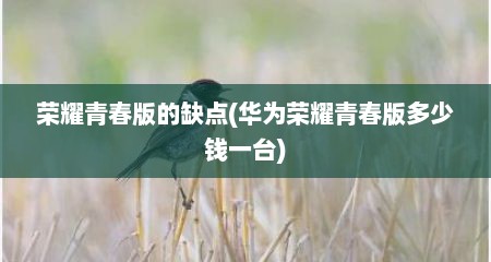 荣耀青春版的缺点(华为荣耀青春版多少钱一台)