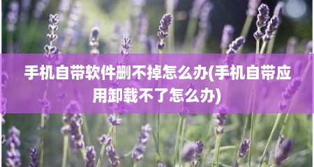 手机自带软件删不掉怎么办(手机自带应用卸载不了怎么办)