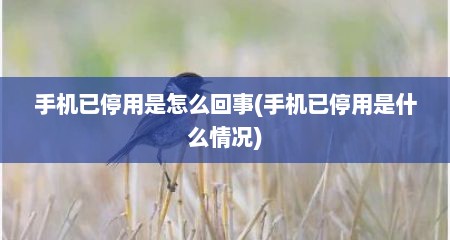 手机已停用是怎么回事(手机已停用是什么情况)