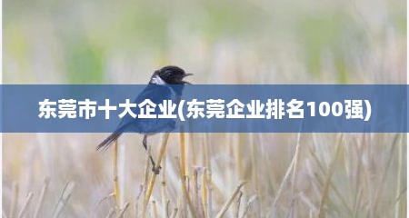 东莞市十大企业(东莞企业排名100强)