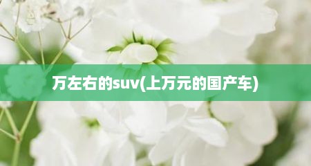 万左右的suv(上万元的国产车)