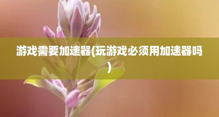 游戏需要加速器(玩游戏必须用加速器吗)