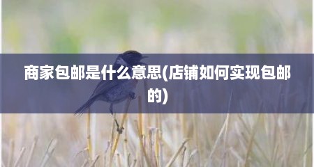 商家包邮是什么意思(店铺如何实现包邮的)
