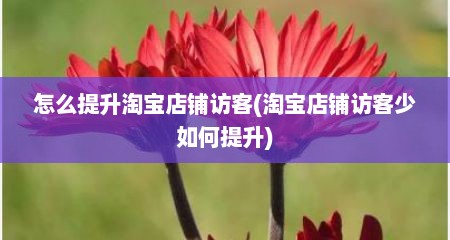 怎么提升淘宝店铺访客(淘宝店铺访客少如何提升)