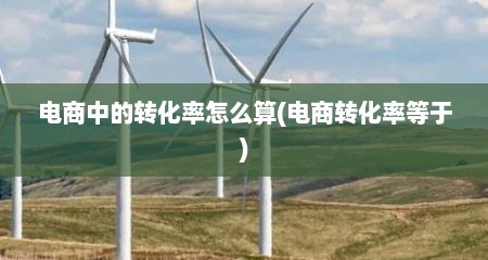 电商中的转化率怎么算(电商转化率等于)