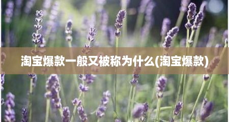 淘宝爆款一般又被称为什么(淘宝爆款)