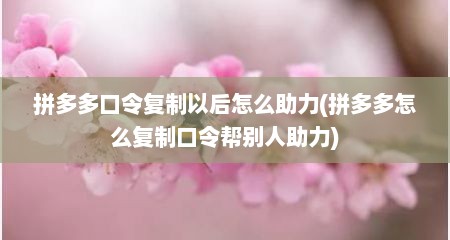 拼多多口令复制以后怎么助力(拼多多怎么复制口令帮别人助力)