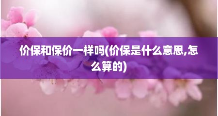 价保和保价一样吗(价保是什么意思,怎么算的)