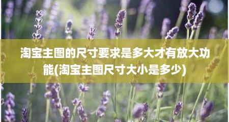 淘宝主图的尺寸要求是多大才有放大功能(淘宝主图尺寸大小是多少)