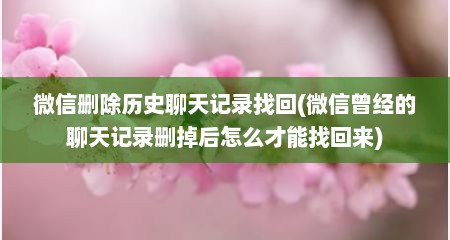 微信删除历史聊天记录找回(微信曾经的聊天记录删掉后怎么才能找回来)