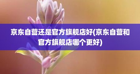 京东自营还是官方旗舰店好(京东自营和官方旗舰店哪个更好)
