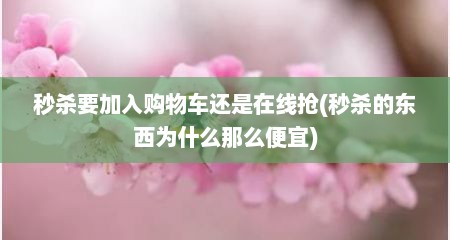 秒杀要加入购物车还是在线抢(秒杀的东西为什么那么便宜)