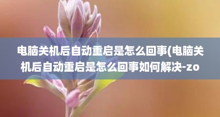 电脑关机后自动重启是怎么回事(电脑关机后自动重启是怎么回事如何解决-zol问答)