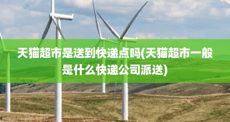 天猫超市是送到快递点吗(天猫超市一般是什么快递公司派送)