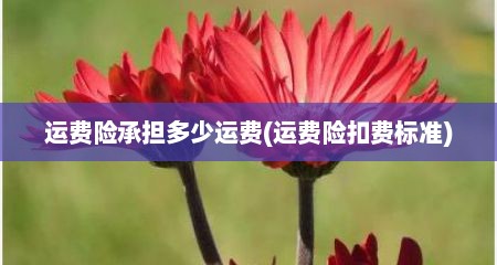 运费险承担多少运费(运费险扣费标准)