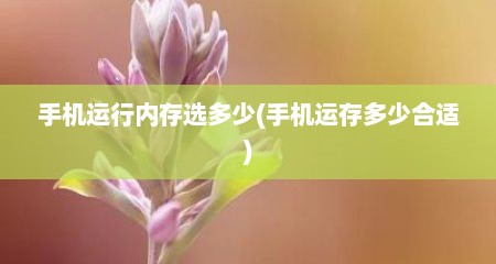 手机运行内存选多少(手机运存多少合适)