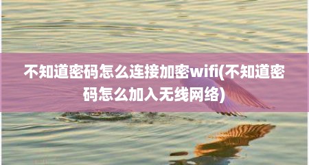 不知道密码怎么连接加密wifi(不知道密码怎么加入无线网络)
