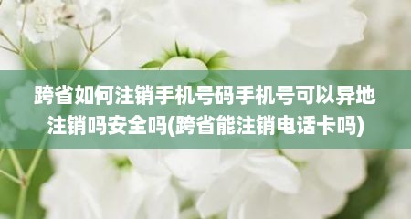 跨省如何注销手机号码手机号可以异地注销吗安全吗(跨省能注销电话卡吗)