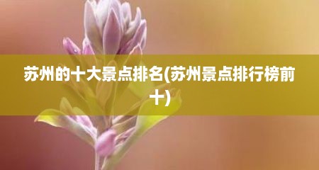 苏州的十大景点排名(苏州景点排行榜前十)