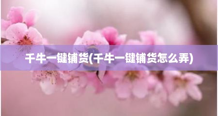 千牛一键铺货(千牛一键铺货怎么弄)