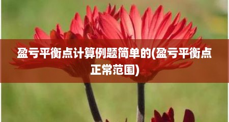 盈亏平衡点计算例题简单的(盈亏平衡点正常范围)