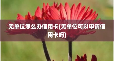无单位怎么办信用卡(无单位可以申请信用卡吗)