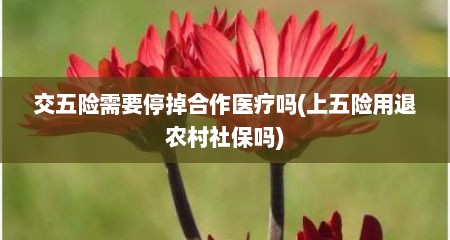 交五险需要停掉合作医疗吗(上五险用退农村社保吗)