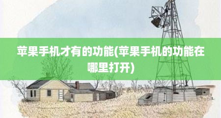 苹果手机才有的功能(苹果手机的功能在哪里打开)