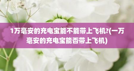 1万毫安的充电宝能不能带上飞机?(一万毫安的充电宝能否带上飞机)