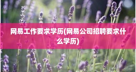 网易工作要求学历(网易公司招聘要求什么学历)