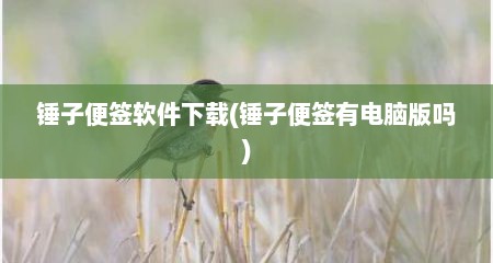 锤子便签软件下载(锤子便签有电脑版吗)
