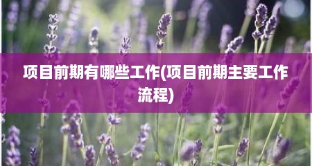项目前期有哪些工作(项目前期主要工作流程)