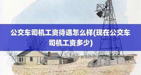 公交车司机工资待遇怎么样(现在公交车司机工资多少)