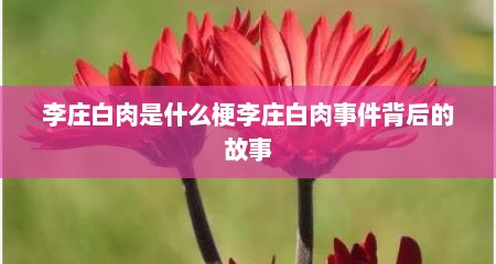 李庄白肉是什么梗李庄白肉事件背后的故事