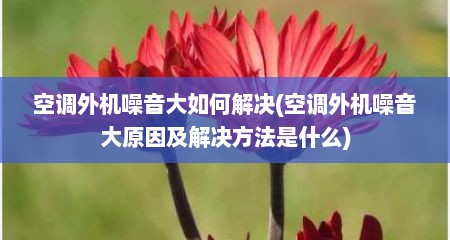 空调外机噪音大如何解决(空调外机噪音大原因及解决方法是什么)