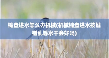 键盘进水怎么办机械(机械键盘进水按键错乱等水干会好吗)