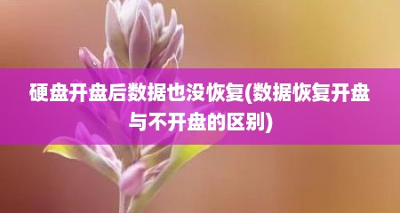 硬盘开盘后数据也没恢复(数据恢复开盘与不开盘的区别)