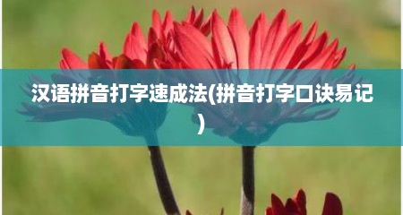 汉语拼音打字速成法(拼音打字口诀易记)