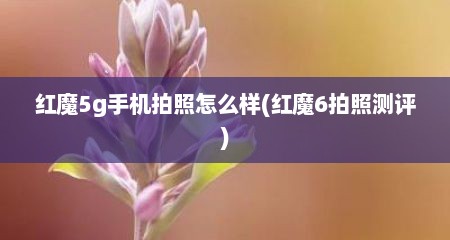 红魔5g手机拍照怎么样(红魔6拍照测评)