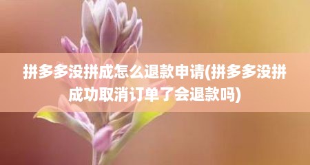拼多多没拼成怎么退款申请(拼多多没拼成功取消订单了会退款吗)