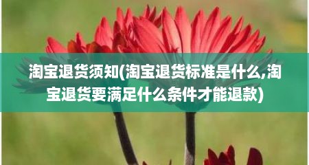 淘宝退货须知(淘宝退货标准是什么,淘宝退货要满足什么条件才能退款)