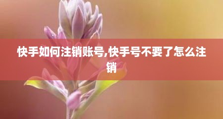 快手如何注销账号,快手号不要了怎么注销
